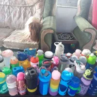 تعداد 43 قمقمه|ظروف نگهدارنده، پلاستیکی، یک‌بارمصرف|نوشهر, |دیوار