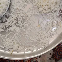 خورده برنج وبرنج کامفیروزی ارگانیک|خوردنی و آشامیدنی|کر, |دیوار