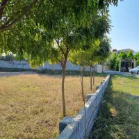 290-متری-با-اقساط-10-ماهه-سنددار-جاده-ایزد-شهر