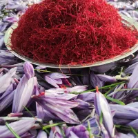 زعفران درجه یک محصول باغ خودمون زعفران  لرستان|خوردنی و آشامیدنی|لاهیجان, گلستان|دیوار