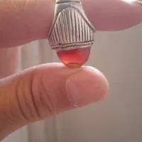 باباقوری عتیقه،طوقدار
