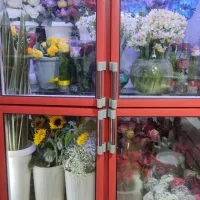 انواع باکس و سبد شب چله ای|گل و گیاه طبیعی|بیرجند, |دیوار