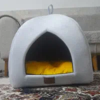 جاخواب گربه خوش رنگ و تمیز