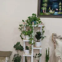 استند گل و گلدان|کتابخانه، شلف، قفسه‌های دیواری|جم, |دیوار