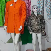 ماانی