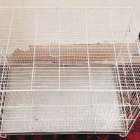 قفس ۶۰سانتی و رینگ