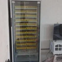 دستگاه جوجه کشی