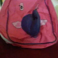 ساک دستی|کیف، کفش، کمربند|اهواز, شهرک دانشگاه|دیوار