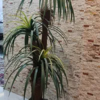 درختچه نخل مصنوعی