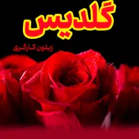 شستشو و تنظیف اپارتمان و ساختمانهای مسکونی