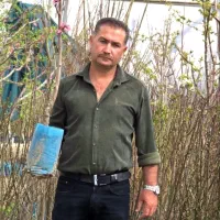 انواع ارقام نهال گلدانی ریشه پر +تضمینی