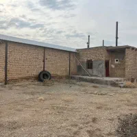 فروش قلعه دامداری|فروش دفتر صنعتی، کشاورزی، تجاری|سلفچگان, |دیوار