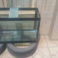 اکواریوم|ماهی|شیروان (خراسان), |دیوار