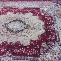 فرش ماشینی|فرش|مرند, |دیوار