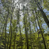 ۲۵۰متر ویلایی*۳۵۰ متر بنا*حافظ قبل پیروزی