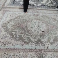 فرش|فرش|نورآباد, |دیوار