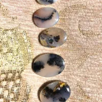 سنگ اصل ش ج ر