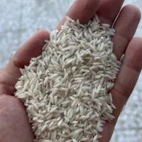 برنج مختار هاشمی سورتینگ شده تازه الک یک|خوردنی و آشامیدنی|پره‌سر, |دیوار