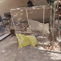 قفس مرغ و پرنده