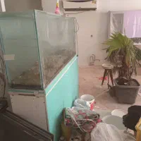 آکواریوم بهمراه کمد زیرش|ماهی|کرج, عظیمیه|دیوار