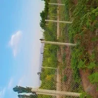 فنس کشی|خدمات باغبانی و درختکاری|خوی, |دیوار