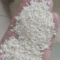 برنج عنبر بو درجه یک|خوردنی و آشامیدنی|بهبهان, |دیوار