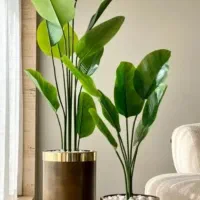 گلدان فروشی