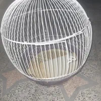 قفس پرنده
