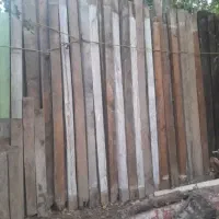 خریدانواع چوب به صورت نقد|خدمات باغبانی و درختکاری|اردبیل, |دیوار