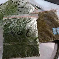 سبزی خورشتی ،کوکویی،پلویی ،آبغوره امسالی ،رب گوجه|خوردنی و آشامیدنی|کاشان, فین بزرگ|دیوار
