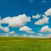 اکانت کالاف رایگان
