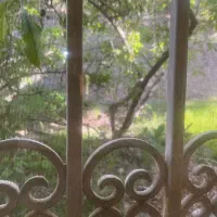 استخدام باغبان سرایدار تمام وقت