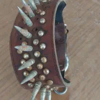 قلاده گردنی میخ فولادی