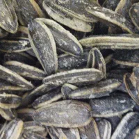 تخمه|خوردنی و آشامیدنی|ارومیه, |دیوار