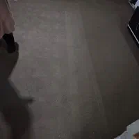 موکت پالاز تافتینگ ۱۲متری|موکت|قزوین, |دیوار