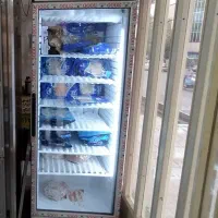 فریزر ایستاده