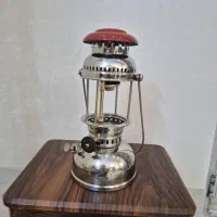 چراغ زنبوری کوتوله توری آمریکایی