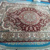 با عرض سلام|فرش|تاکستان, |دیوار