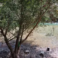 فروش باغ 600 متری مارکده|فروش دفتر صنعتی، کشاورزی، تجاری|اصفهان, لیمجیر|دیوار
