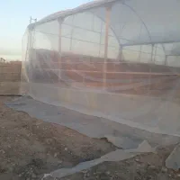 نصب صفر تا صد گلخانه