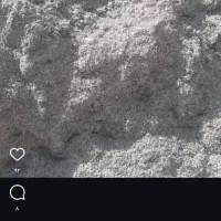 تفاله چغندر