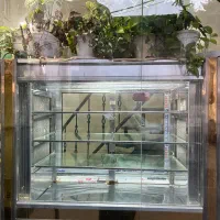 یخچال کباب|کافی‌شاپ و رستوران|رشت, چله خانه|دیوار