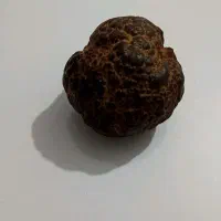 شهاب سنگ پوست ماری