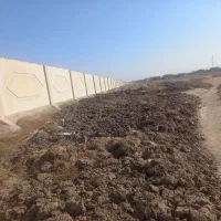 بار گاو|خدمات باغبانی و درختکاری|نیشابور, شهرک رضوی|دیوار