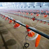 تعمیرات تجهیزات مرغداری