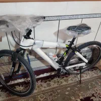 ویوا۲۷۵اصل تایوان