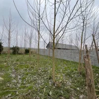 ۴۰۰متر زمین مسکونی/دور دیوار/با پروانه/نامه بنیاد