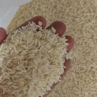 برنج
