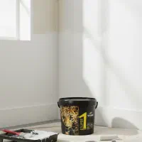 فروش ویژه رنگ الوان بصورت محدود