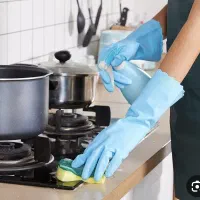 نیروی نظافت و پخت و پز